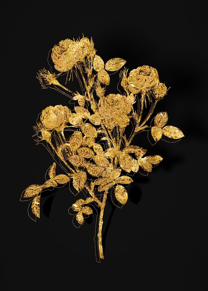 Gold Flora on Black