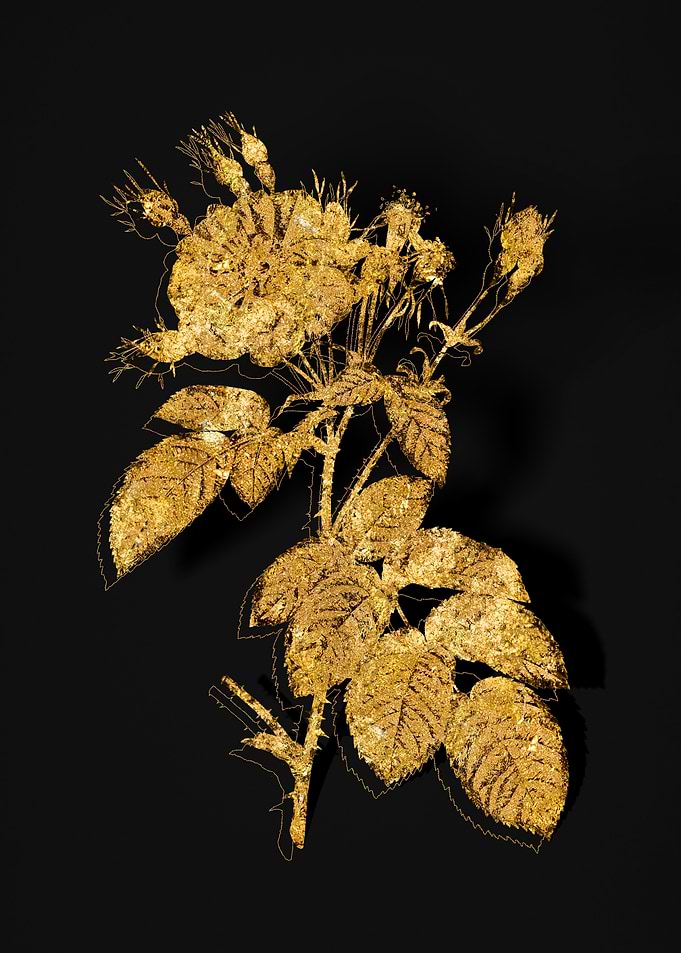 Gold Flower on Black