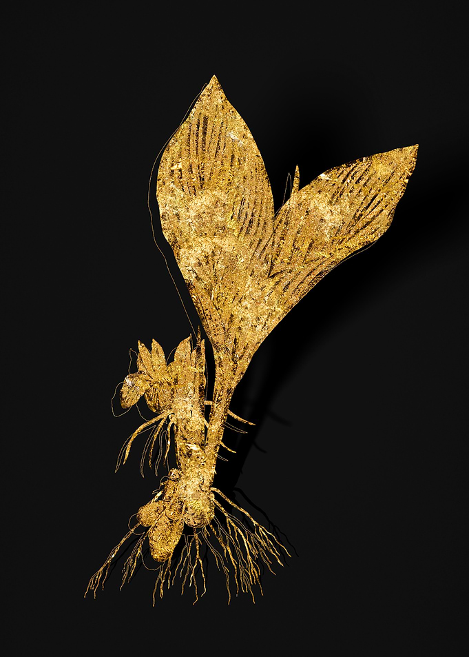 Gold Flora on Black