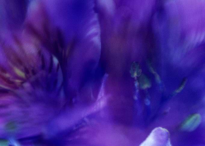 Untitled 98