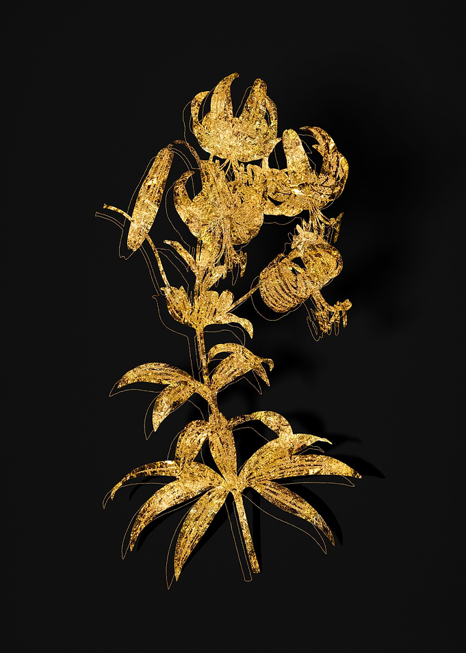 Gold Botanical on Black