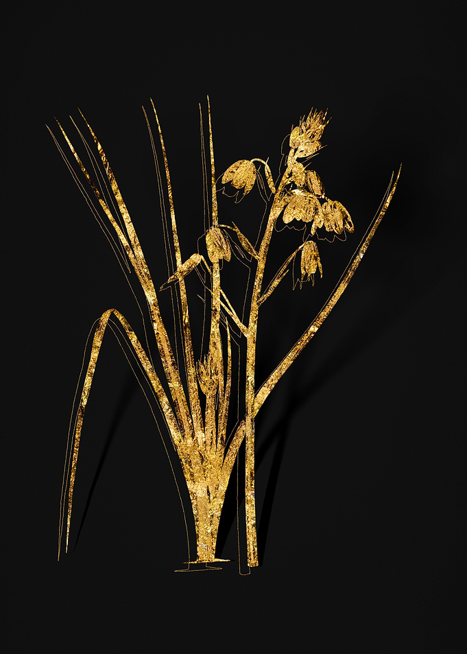 Gold Flower on Black