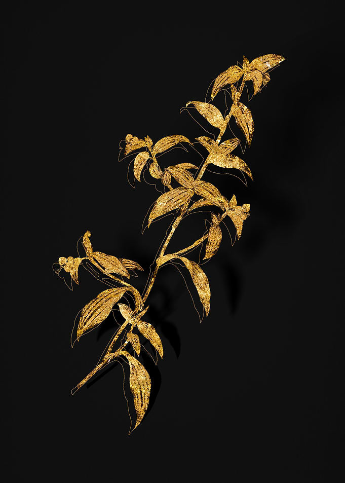 Gold Flora on Black