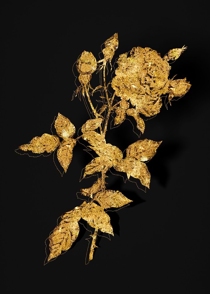 Gold Flower on Black