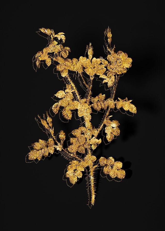 Gold Flora on Black