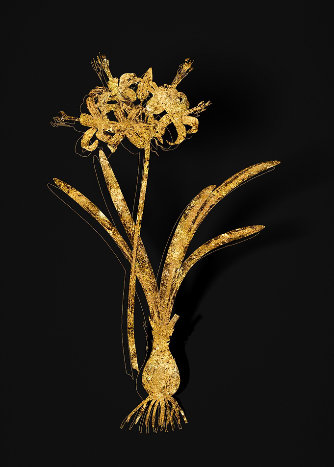 Gold Flower on Black