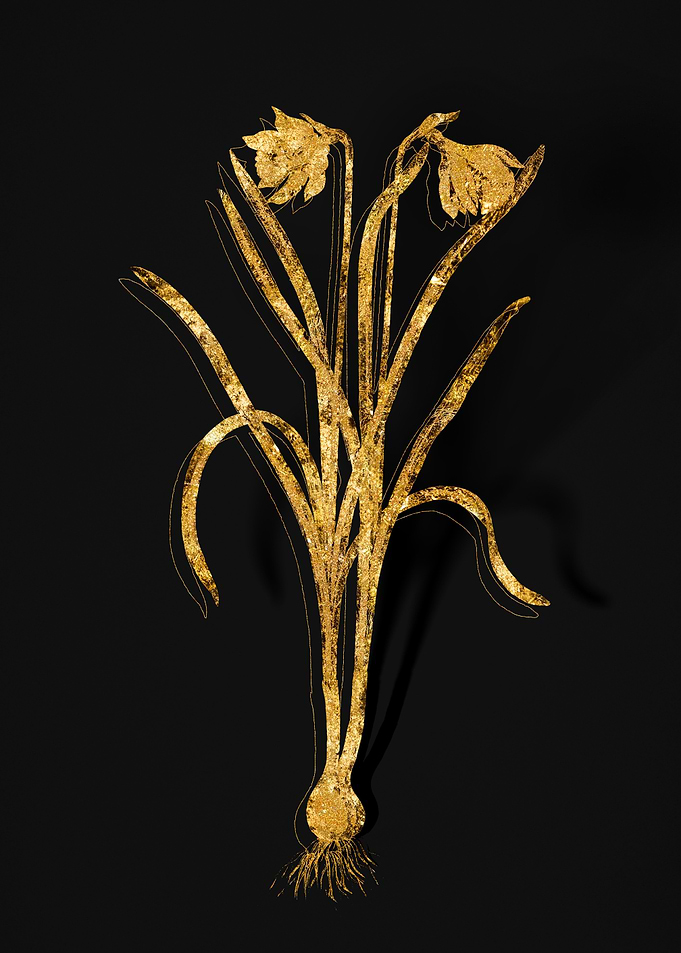 Gold Flora on Black