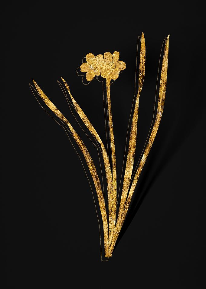 Gold Flora on Black