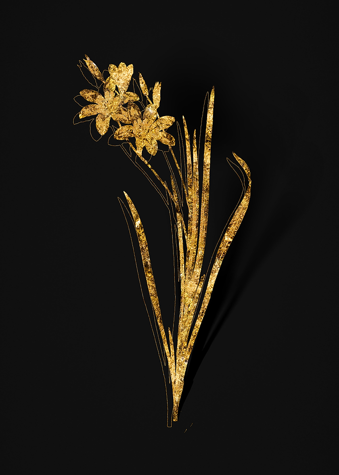Gold Flora on Black