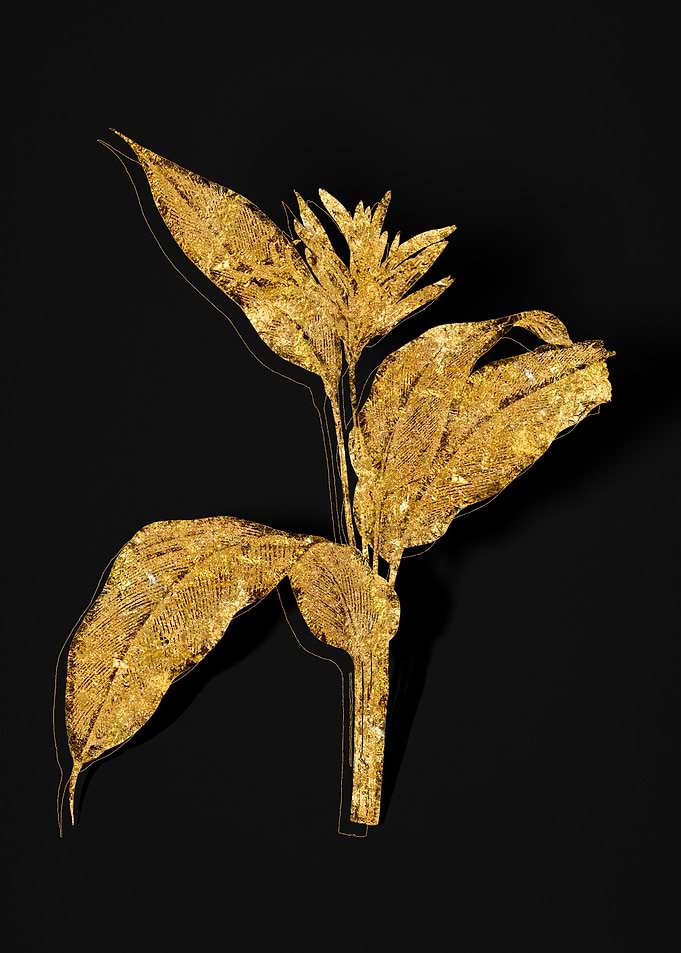 Gold Flora on Black