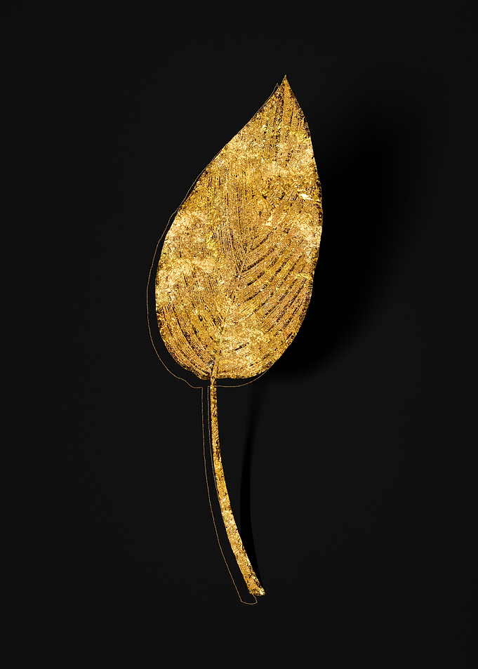 Gold Flora on Black