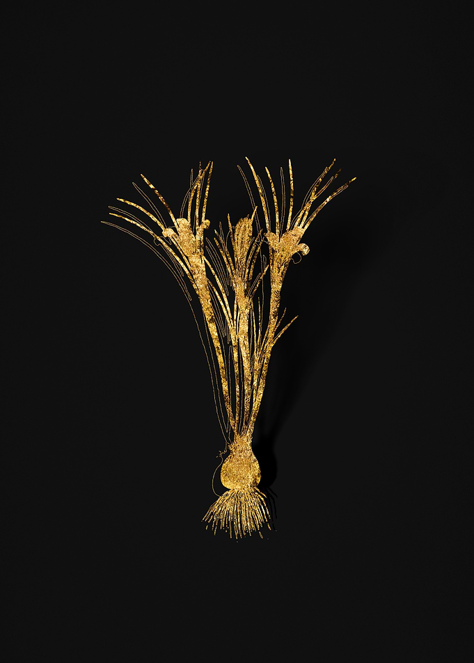 Gold Botanical on Black