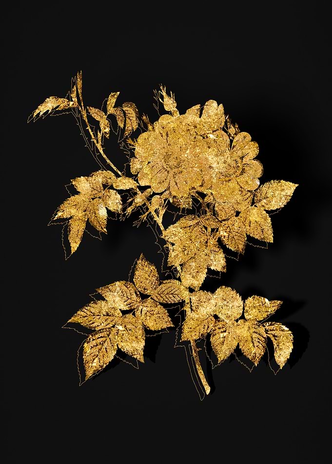 Gold Flower on Black