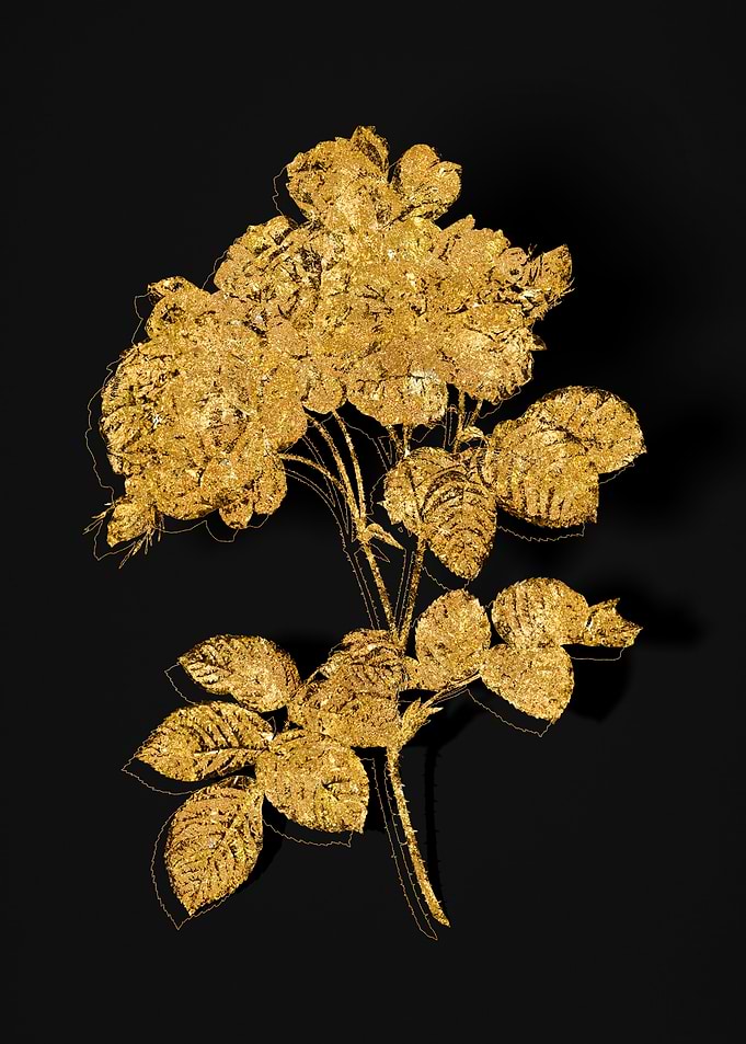 Gold Flora on Black