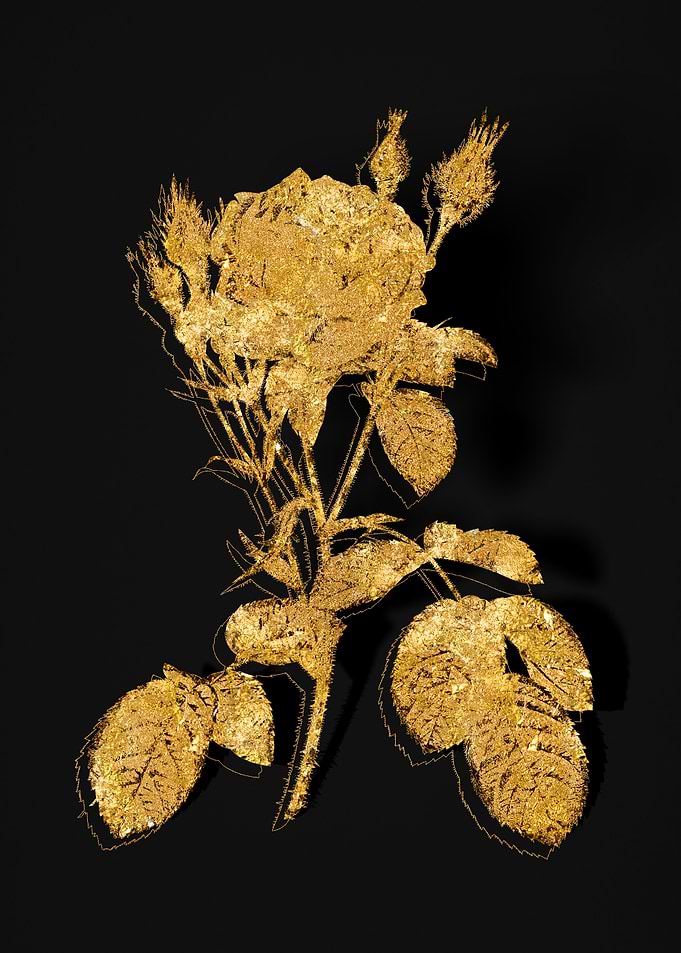 Gold Botanical on Black