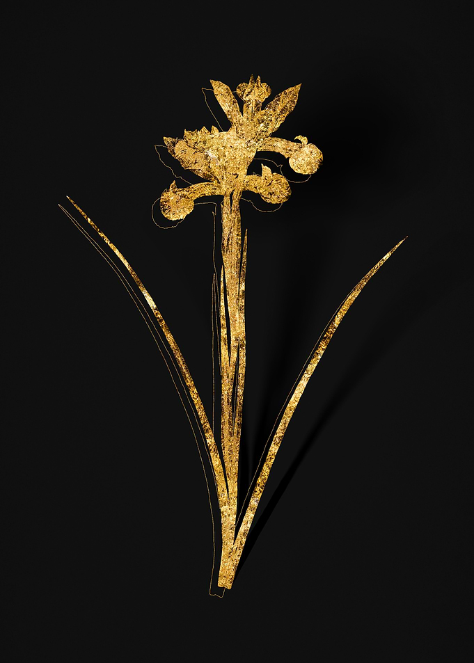 Gold Flower on Black