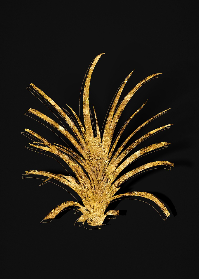 Gold Botanical on Black