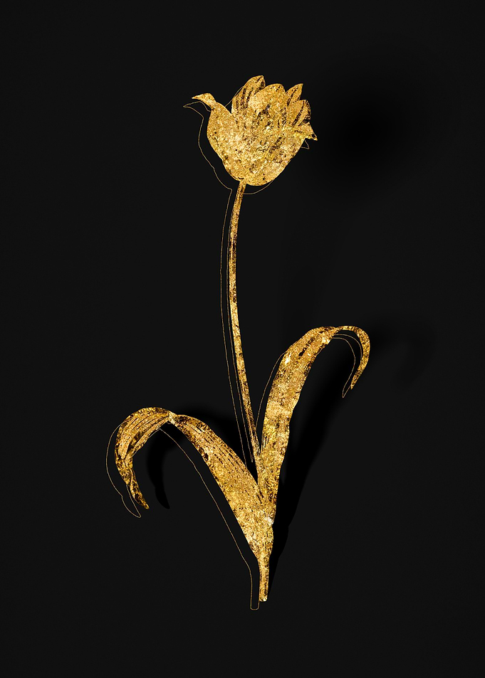 Gold Botanical on Black
