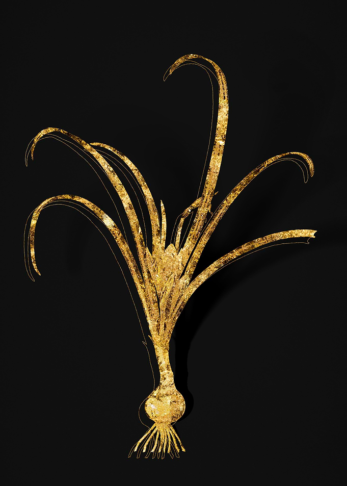 Gold Flower on Black
