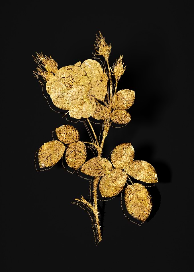 Gold Flower on Black