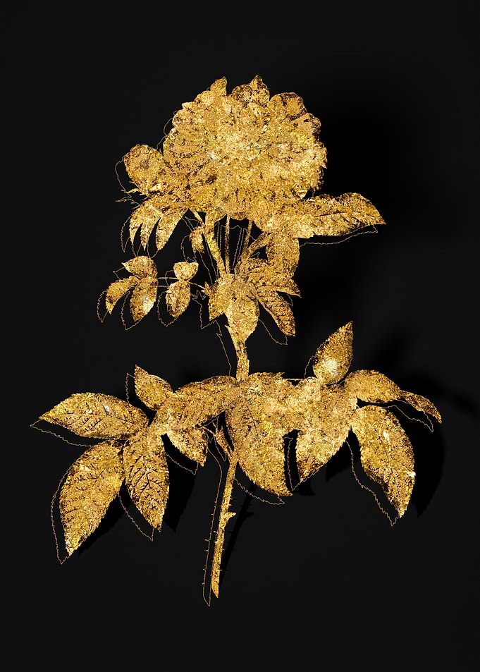 Gold Flower on Black