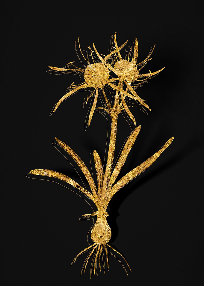 Gold Botanical on Black