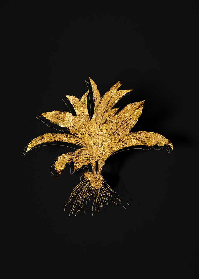 Gold Flora on Black