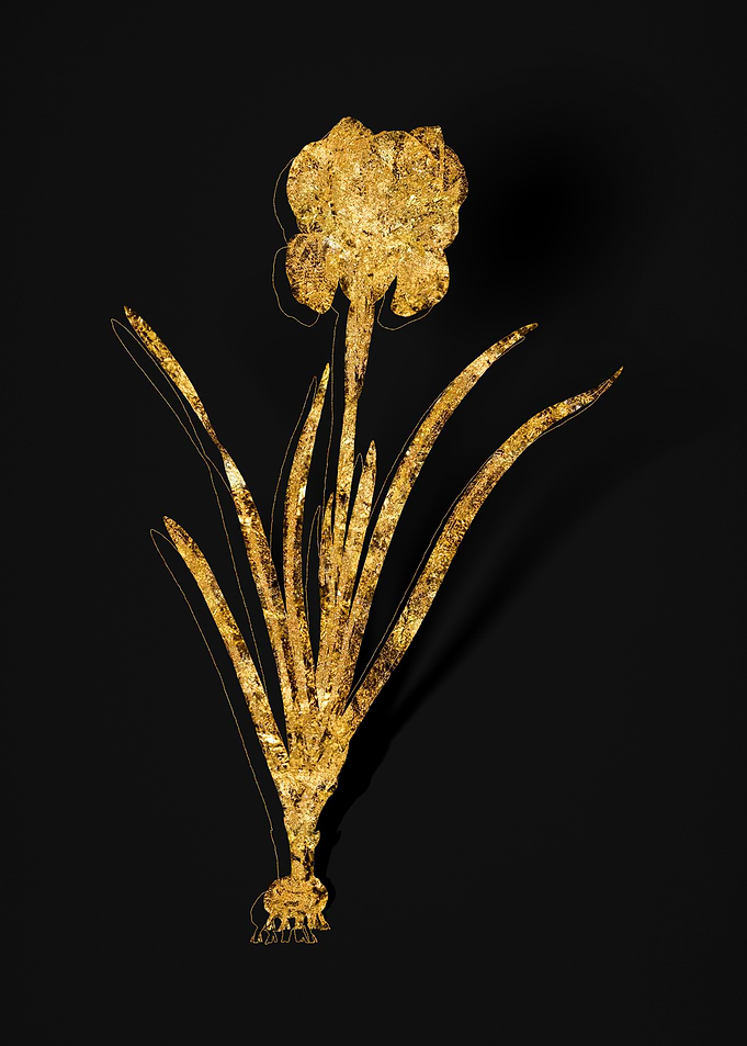 Gold Flora on Black