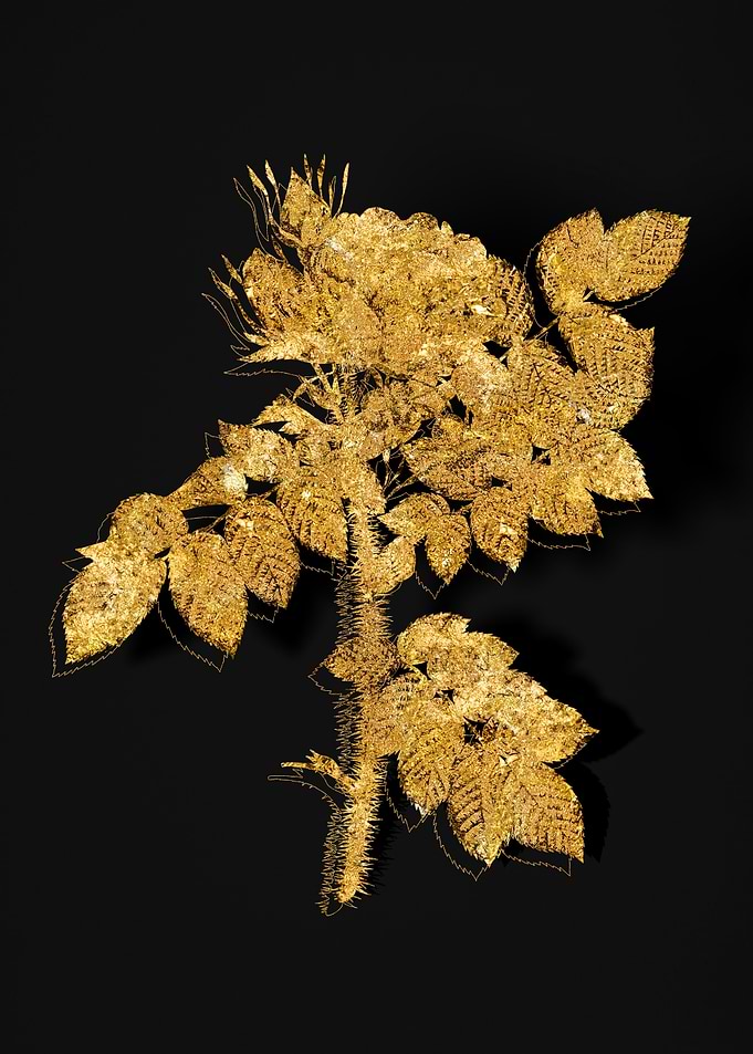 Gold Flora on Black