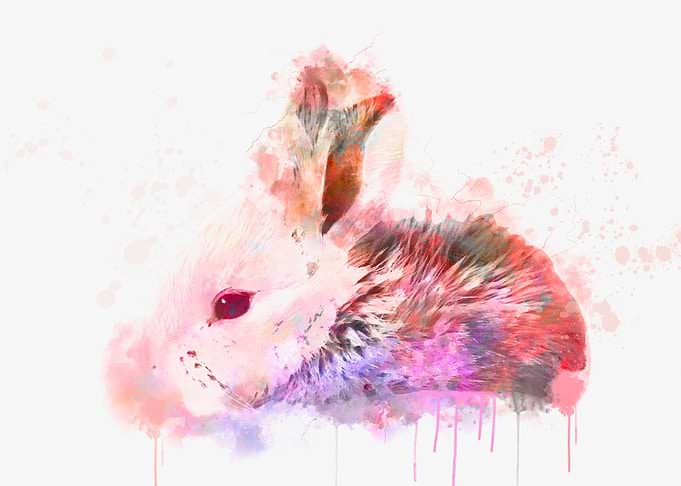 Bunny Watercolor