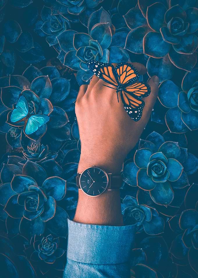 Butterfly flower and hand