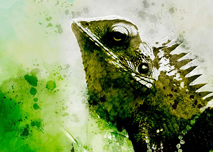 Chameleon Watercolor