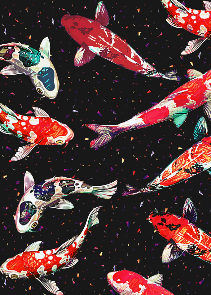 Koi P1