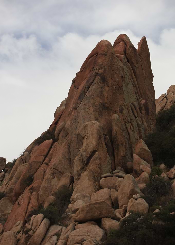 Arizona