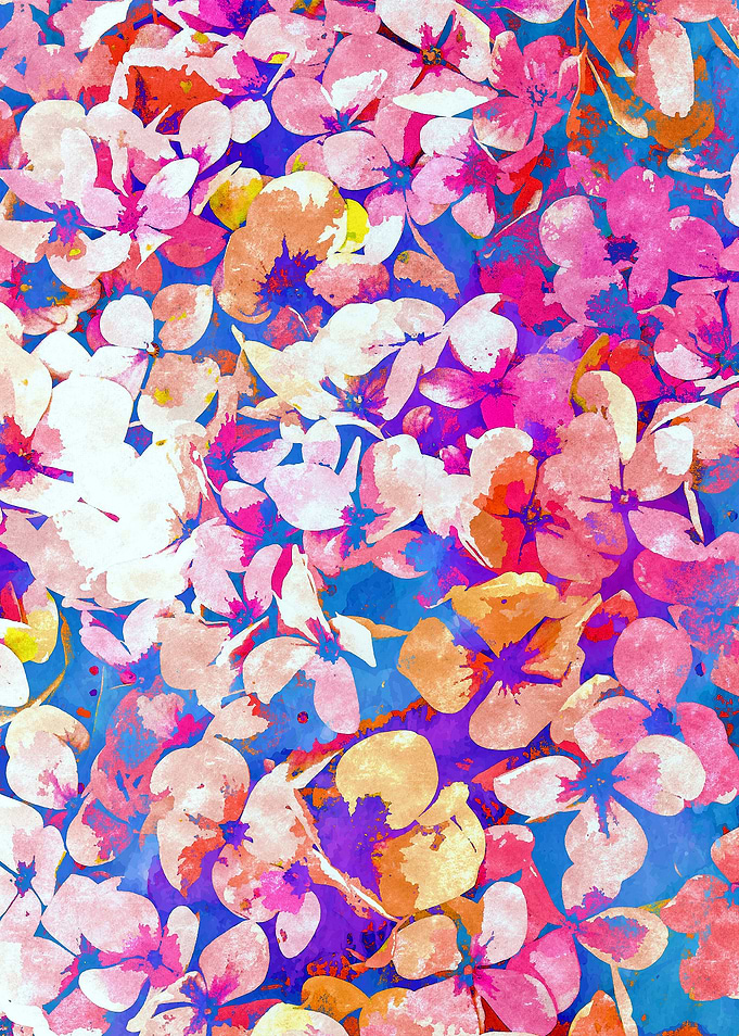 Floral Abundance