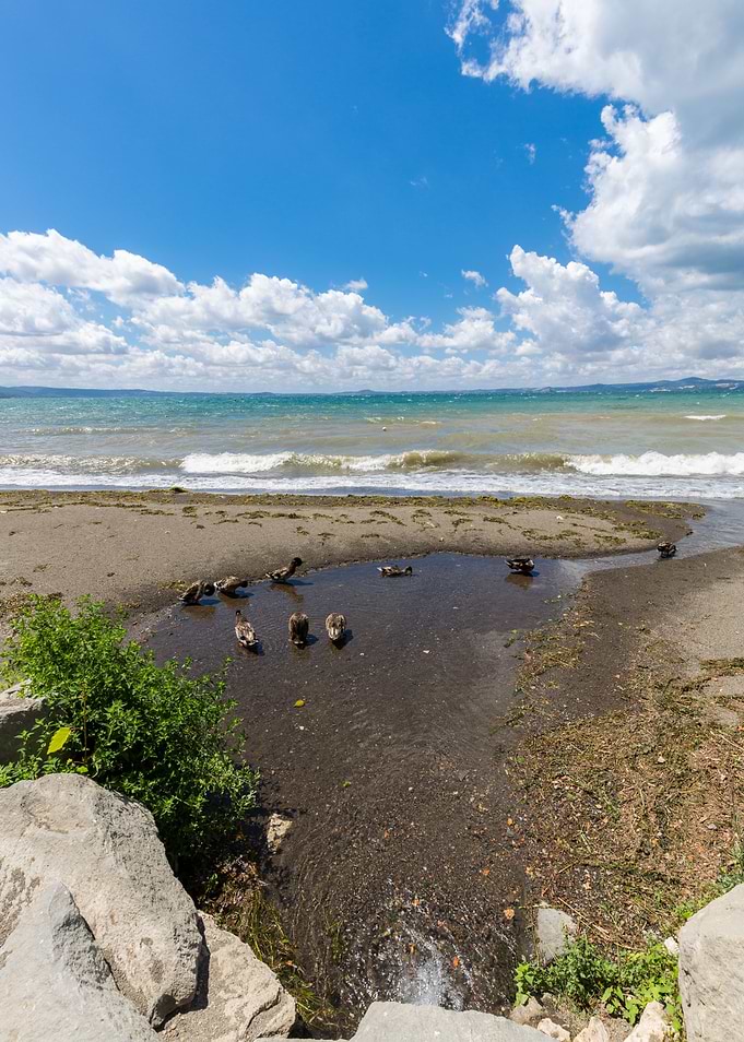 Bolsena lake Italy