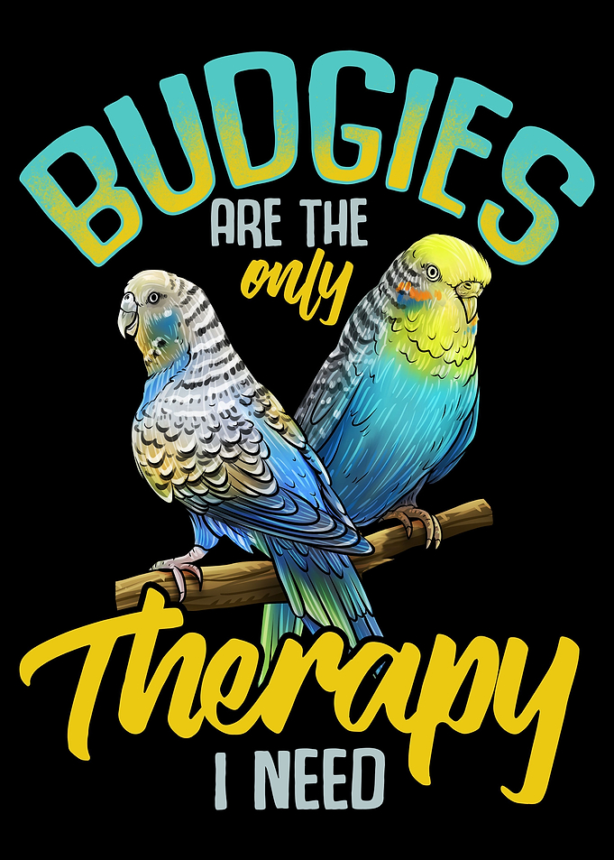 Budgerigar