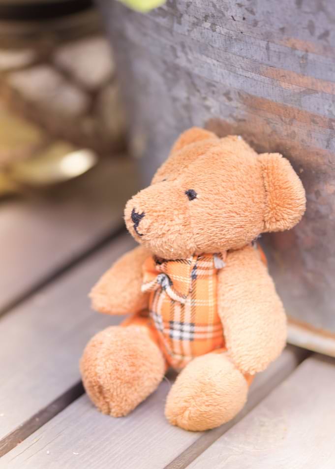 teddy bear