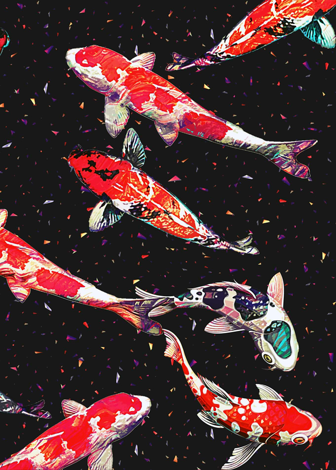 Koi P3