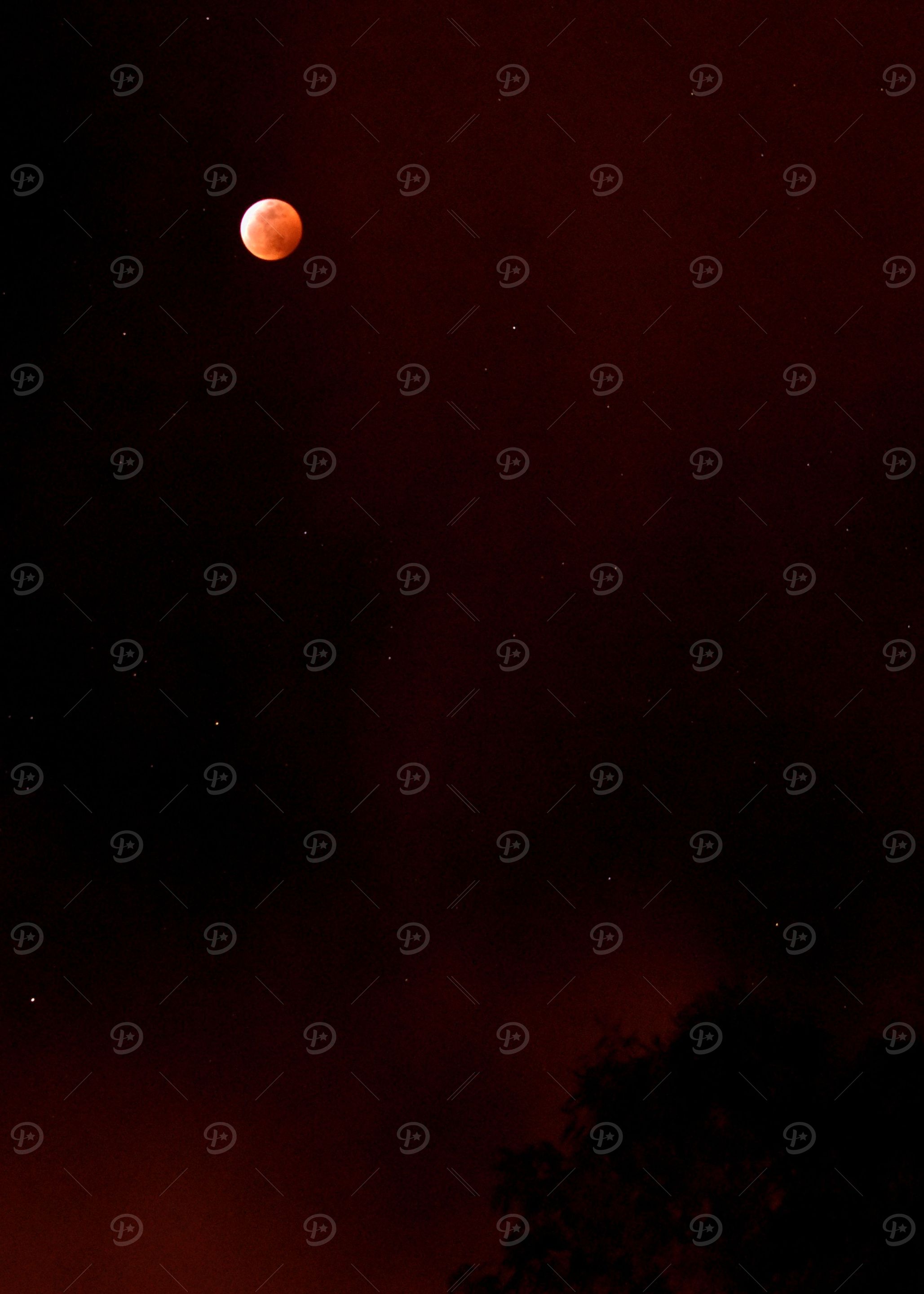 Blood Moon