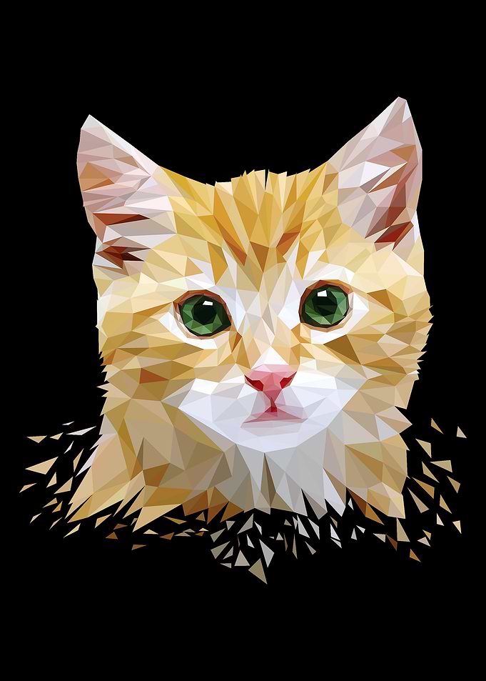 Cat Lover