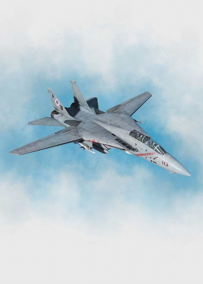 F 14 Tomcat