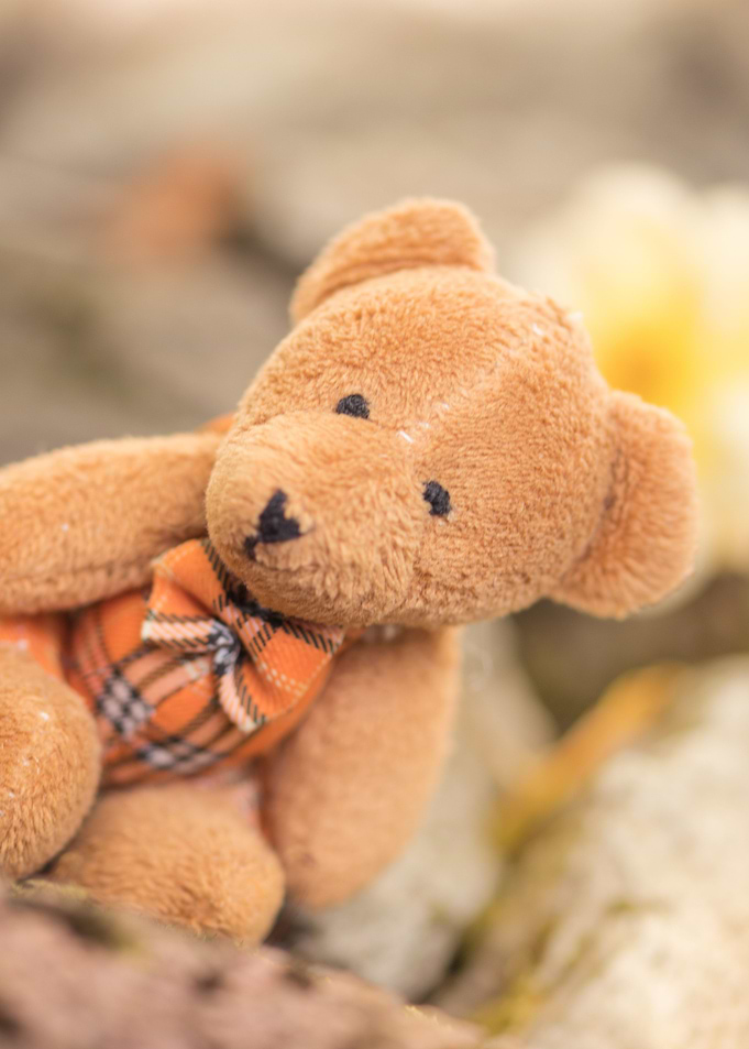 teddy bear