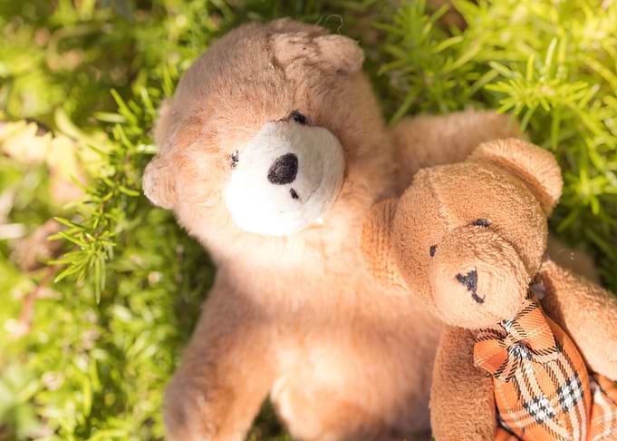 teddy bears