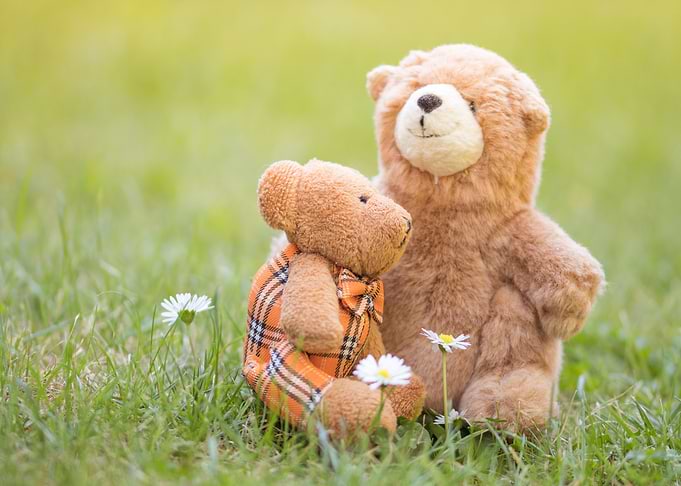 teddy bears