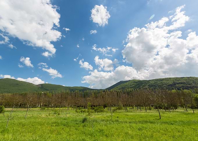 Orpiano countryside Marche