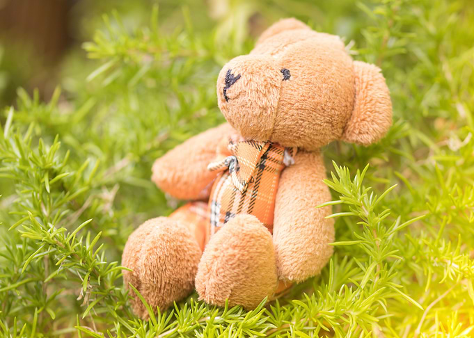 teddy bear