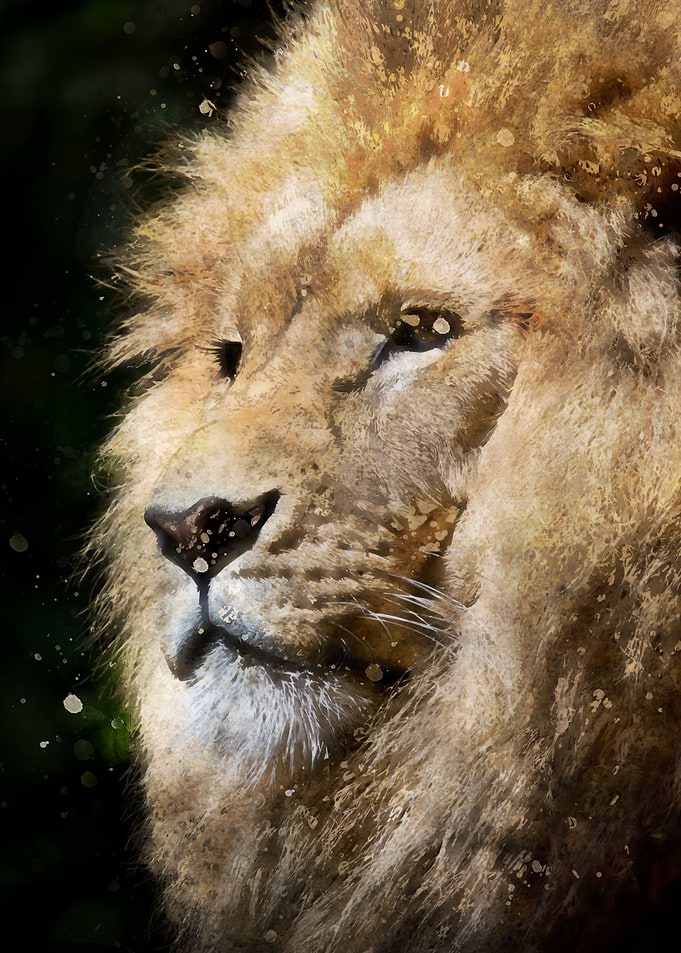 Digital Wildlife