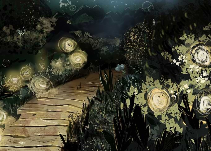 Firefly Nights