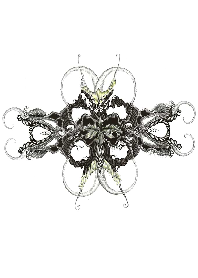 Erinea